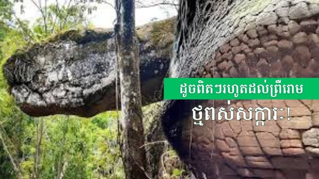 Mysteries of the Sacred Snake Rocks Around the World | Spine-Chilling Realism